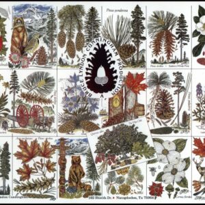 Notecards - Assortment of Forestry & Nature