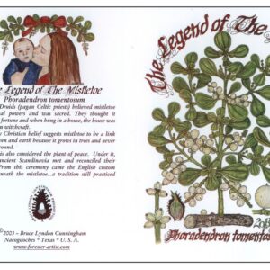 Notes - Xmas  - The Legend of the Mistletoe
