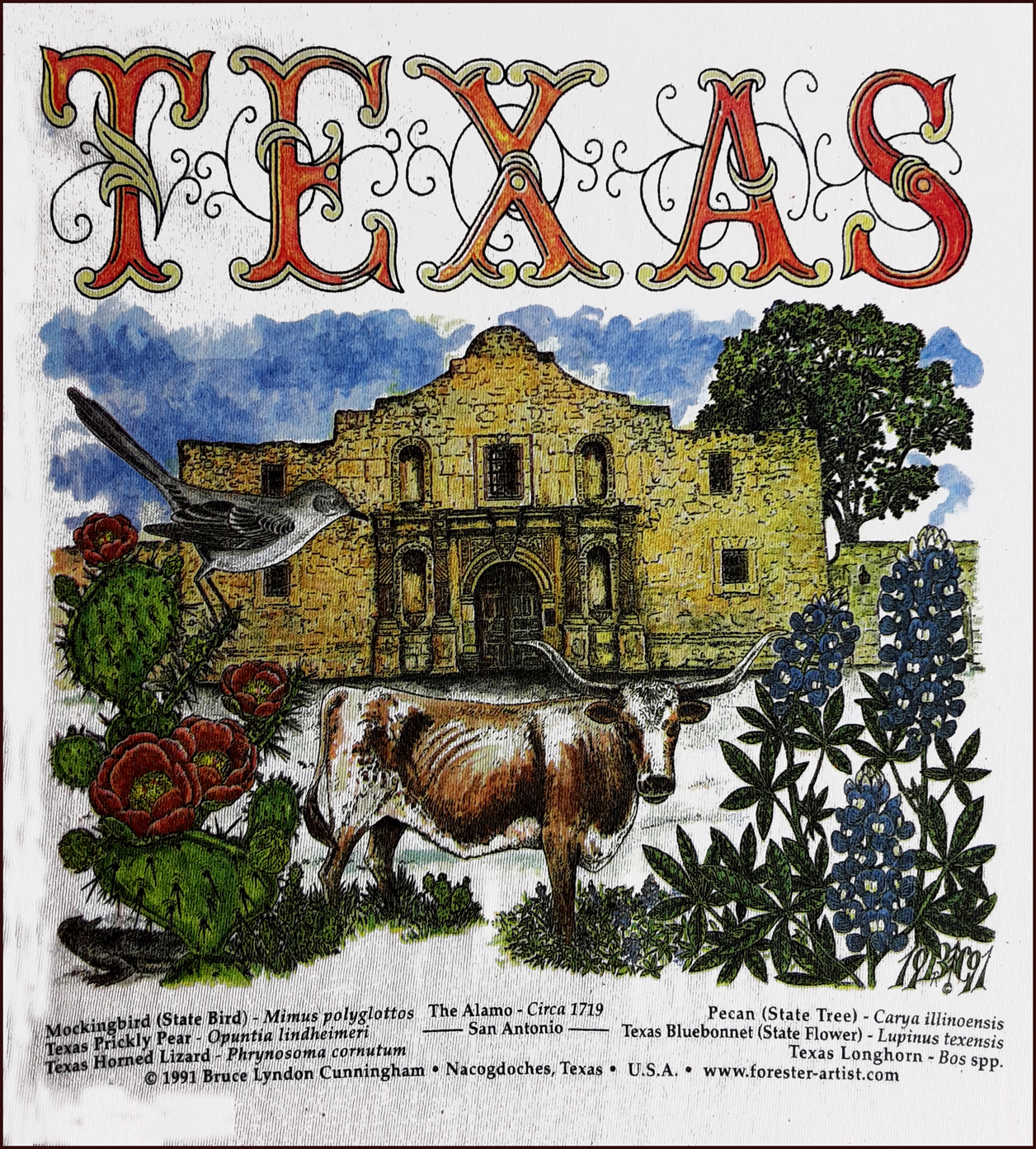T-Shirts - The TEXAS Alamo & Nature
